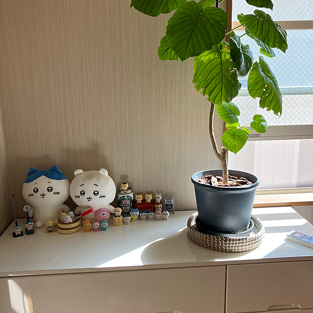 hirominさんの部屋
