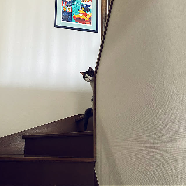 Amijonさんの実例写真