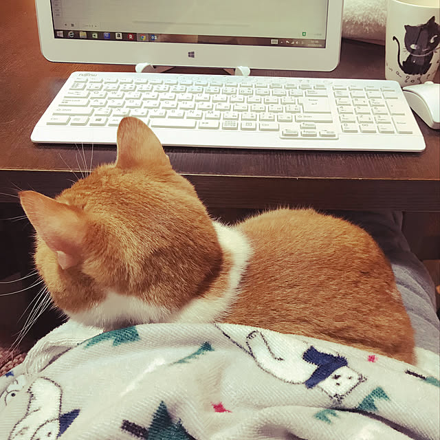 KotarouKunさんの実例写真
