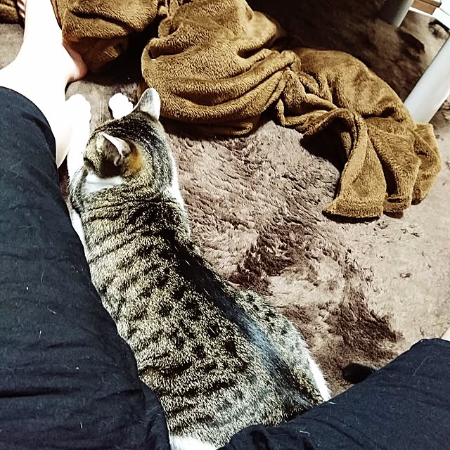 kiraさんの実例写真