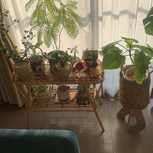 JUNさんの実例写真