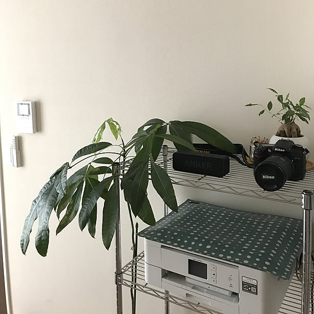 mwさんの実例写真