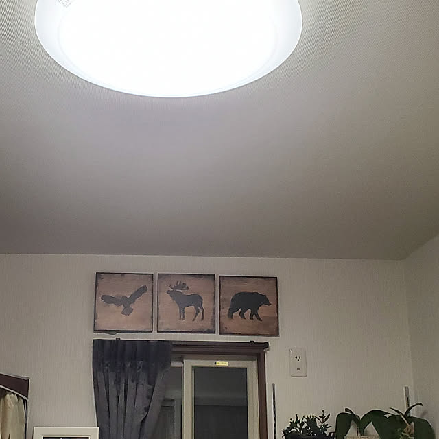 korokoroさんの実例写真