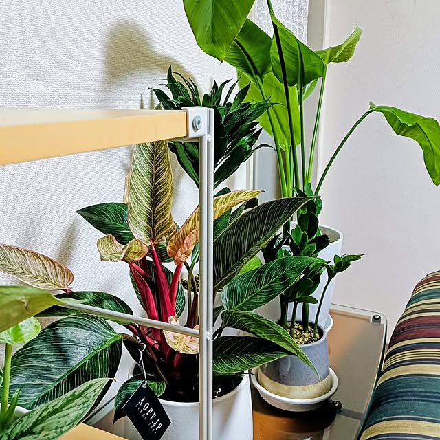 hanachanさんの部屋