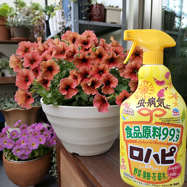 VERANDARJUNさんの実例写真