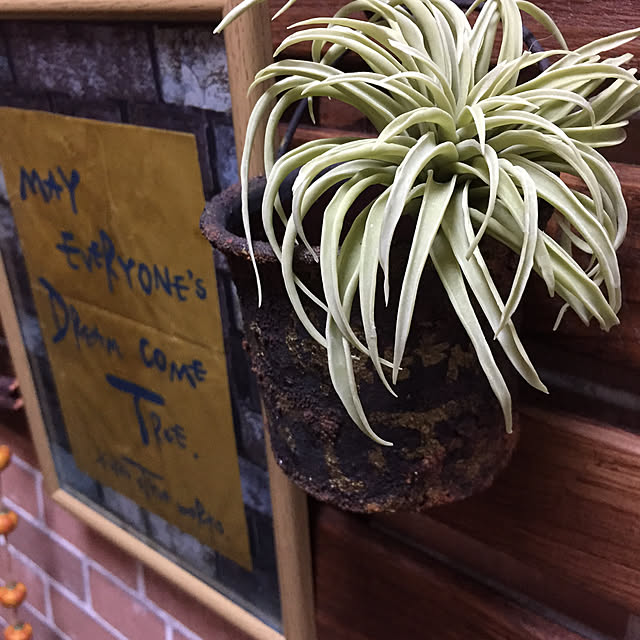 CoffeeHouseさんの実例写真