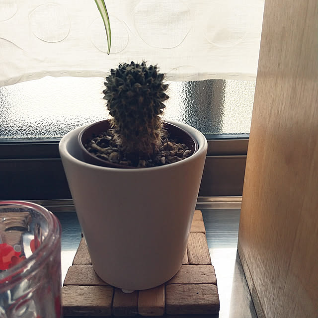 emibutaさんの実例写真