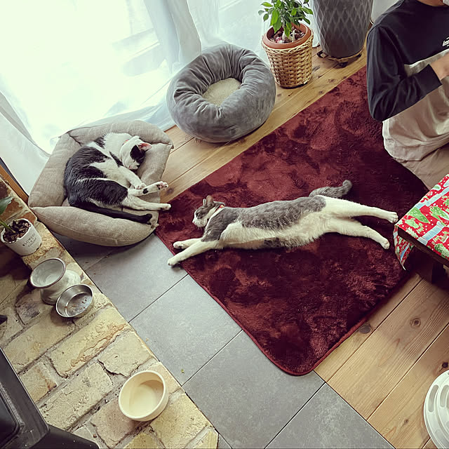 nekosamaさんの実例写真