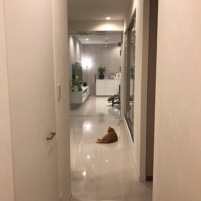 minakoさんの実例写真