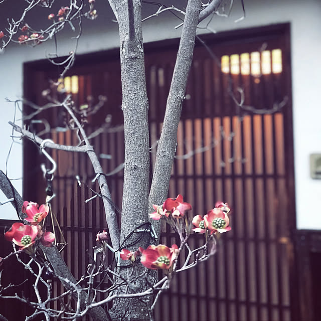maroさんの実例写真