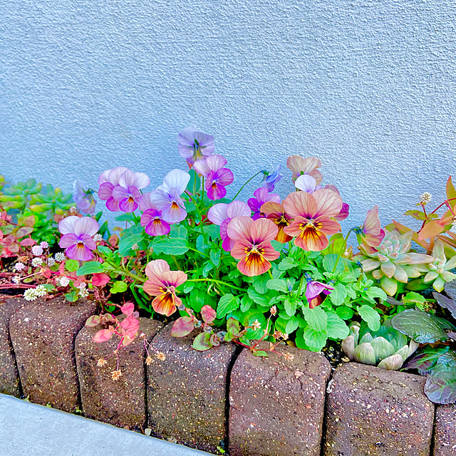 rukakoさんの実例写真