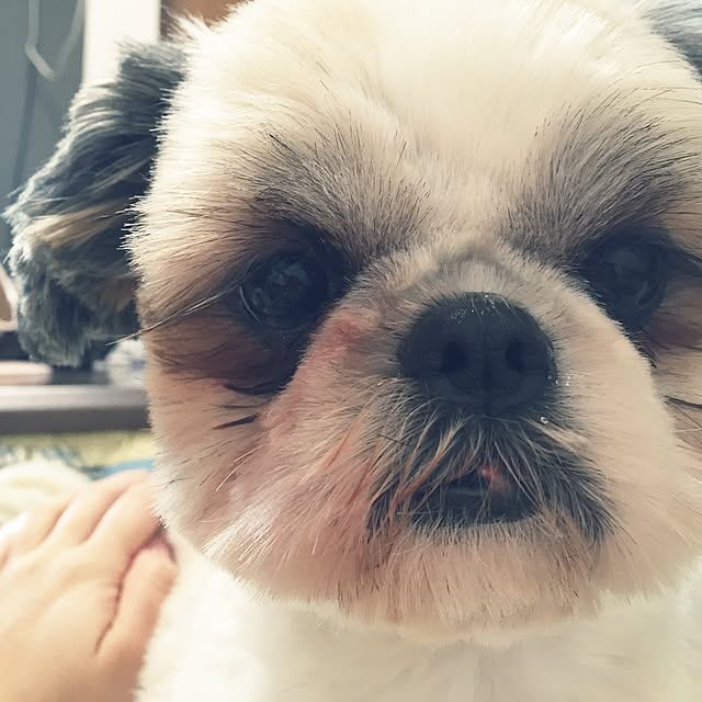 Kanamiさんの実例写真