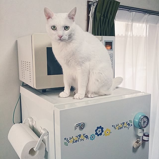 amifuuさんの実例写真