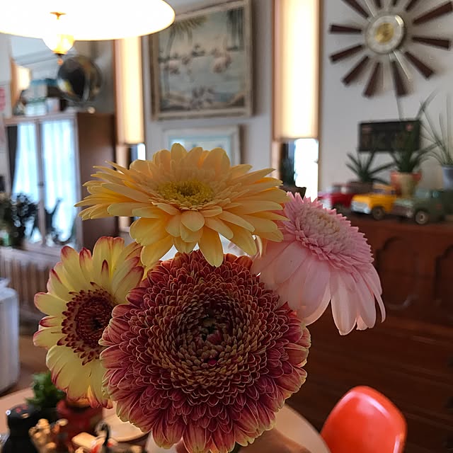tsuyopipさんの実例写真