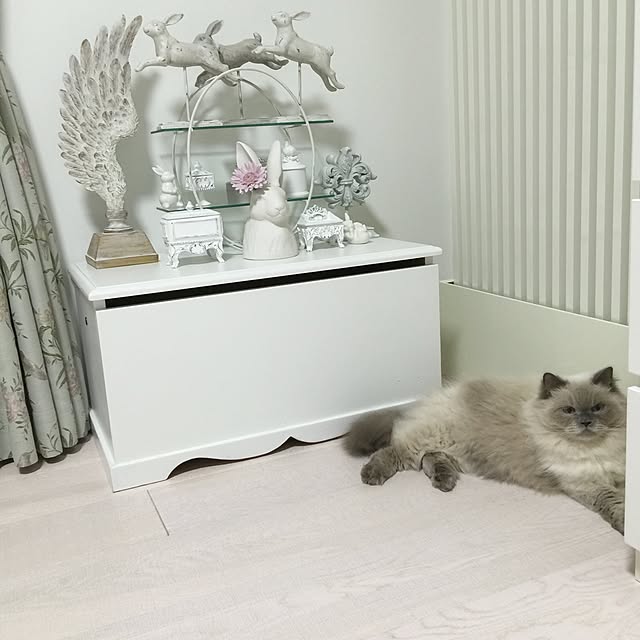 yuchiさんの実例写真