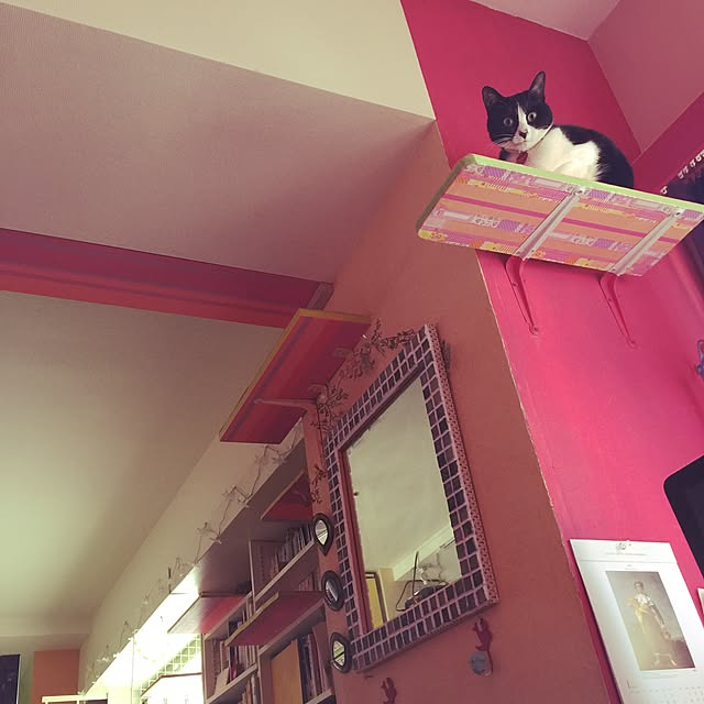 kimishigureさんの実例写真