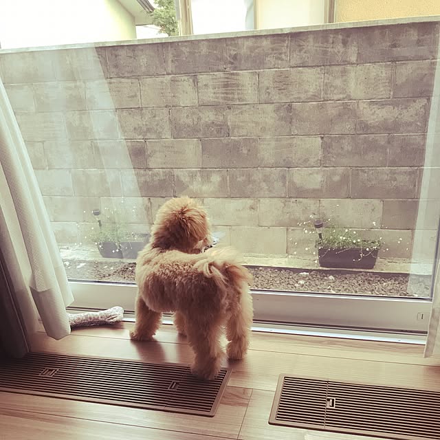 ikt.tamaさんの実例写真