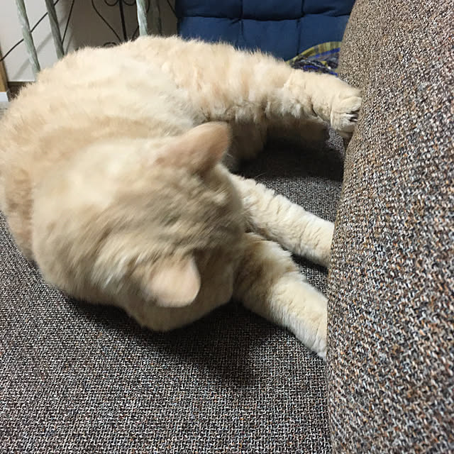 naokoさんの部屋