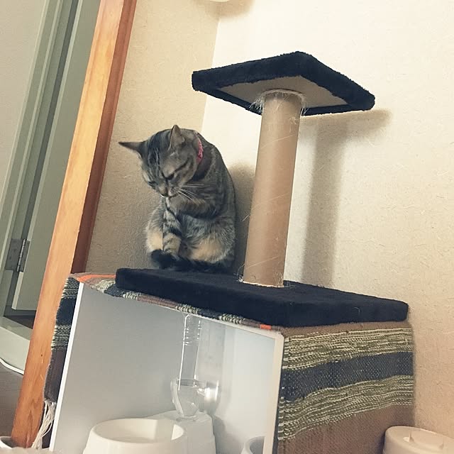 sayasさんの実例写真