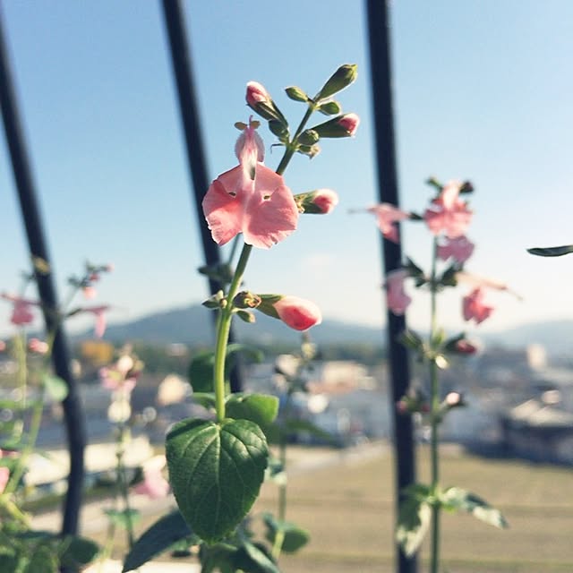 taroさんの実例写真