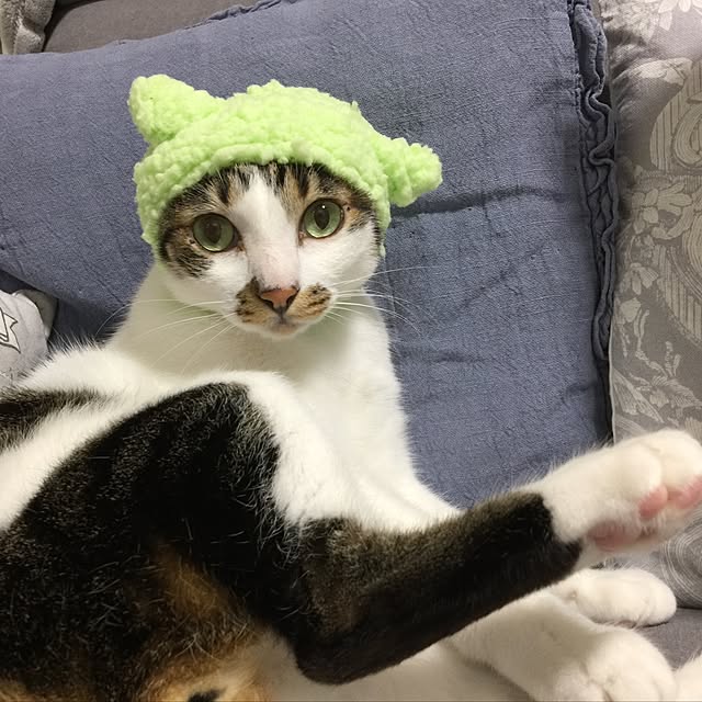 yuchiさんの実例写真