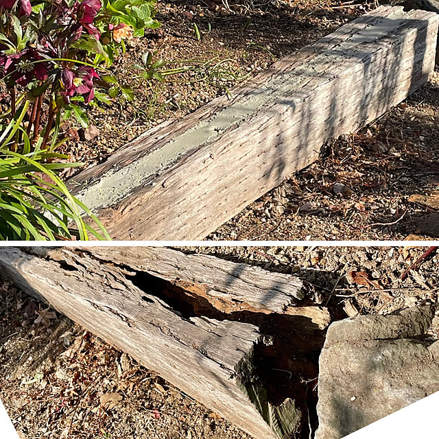 nobikoさんの部屋