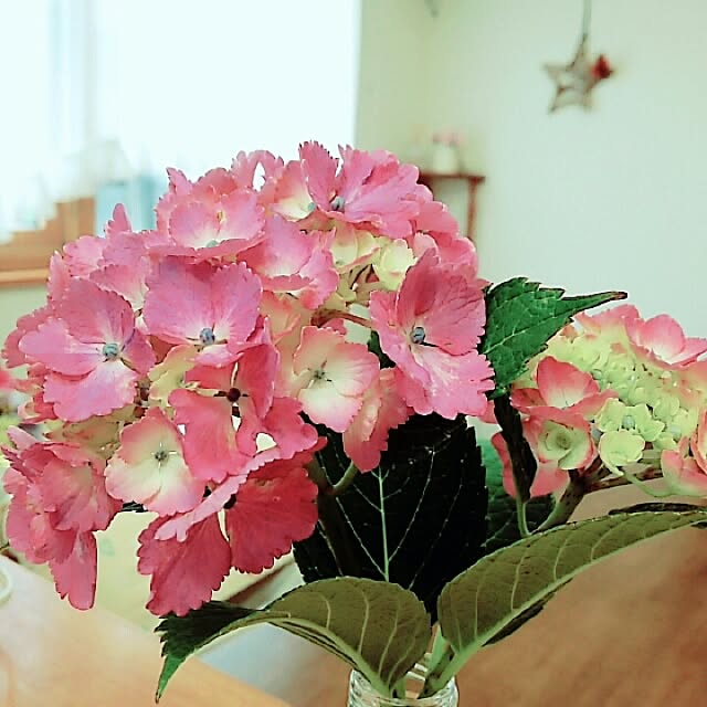 anna_happpyさんの実例写真