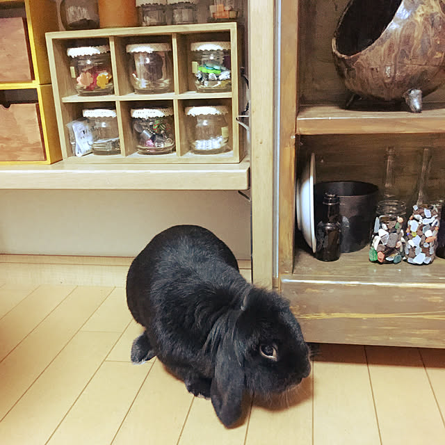 tudukiさんの実例写真