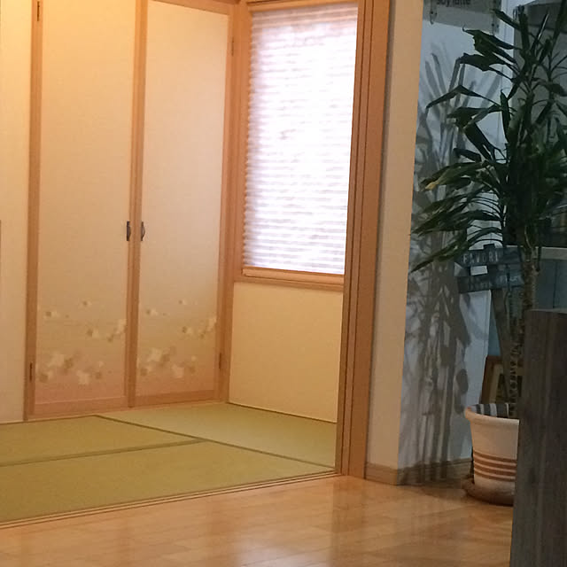 memiさんの実例写真