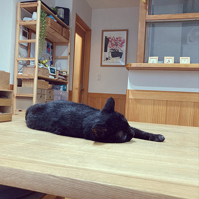 chakuron.iさんの実例写真