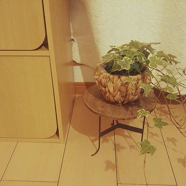 Kanakoさんの実例写真