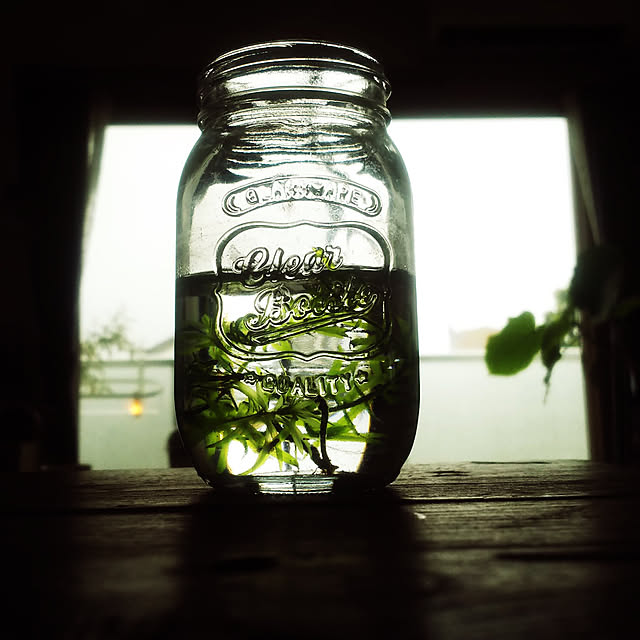 nature-faloさんの実例写真