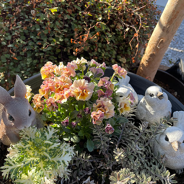 ronronさんの部屋