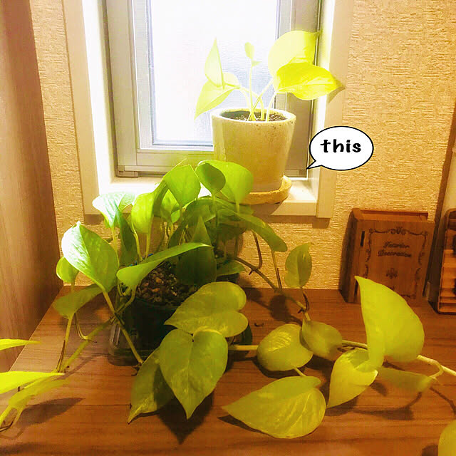 Hiroさんの実例写真