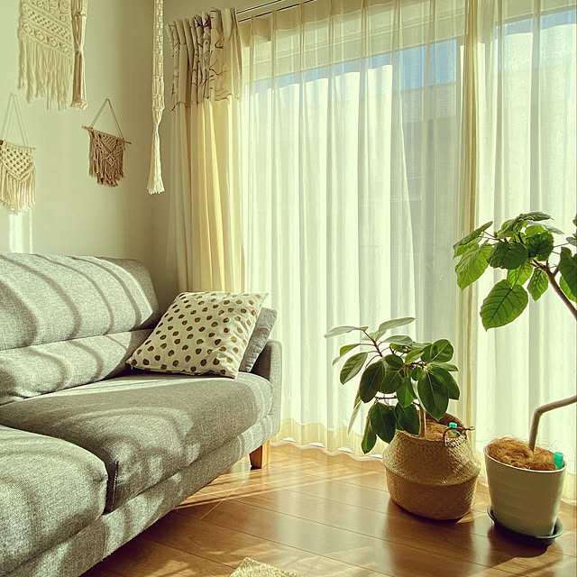 _eringo_home_さんの実例写真