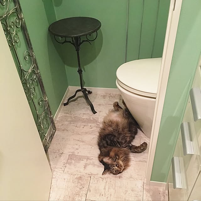 lalarin123さんの実例写真