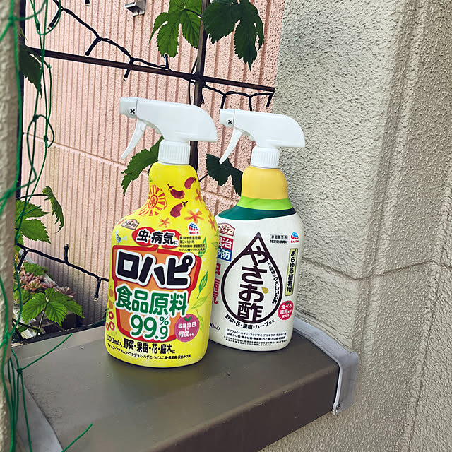 pekoさんの実例写真