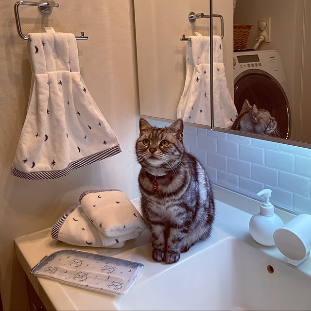 hiyupan88さんの実例写真