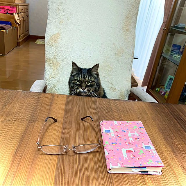 shigurenekoさんの実例写真