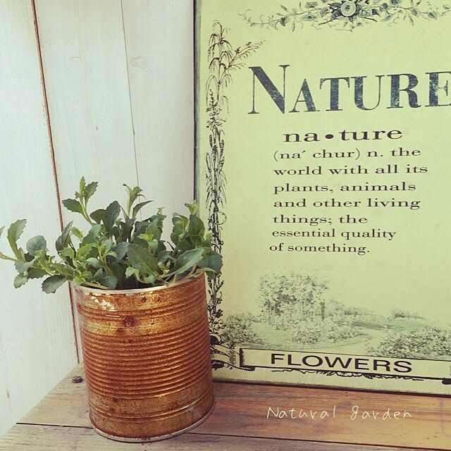 natureさんの実例写真