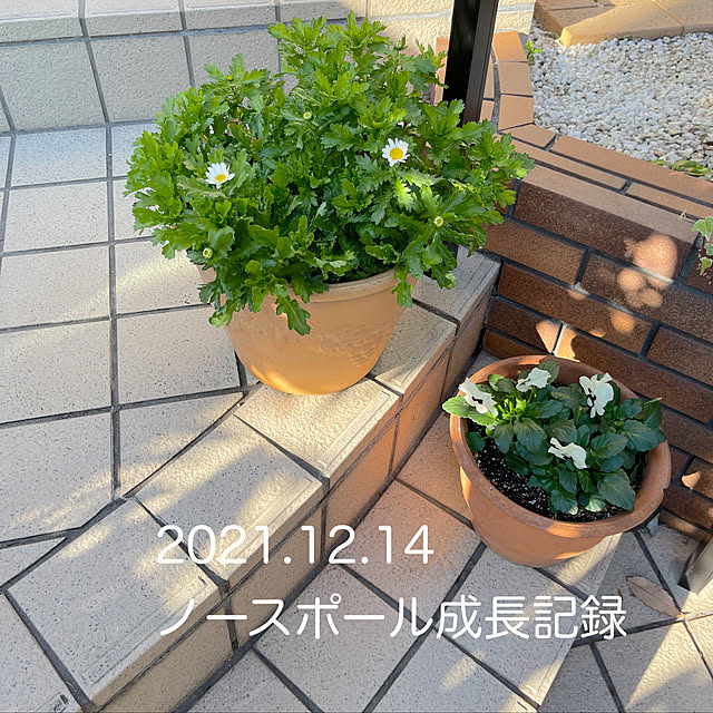 chikaさんの実例写真