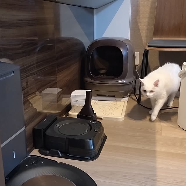 NOAHさんの実例写真