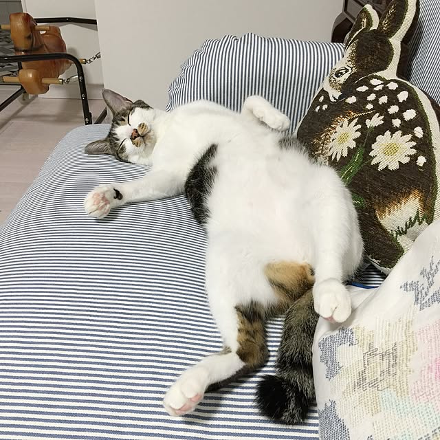 yuchiさんの実例写真