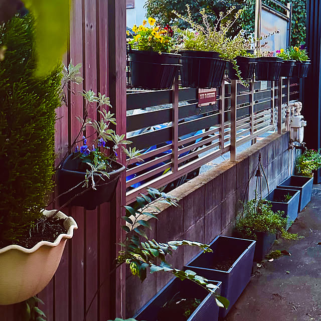 chacoさんの部屋