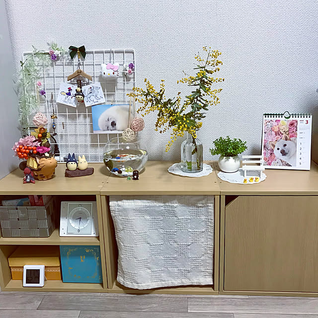 tomorrowさんの実例写真