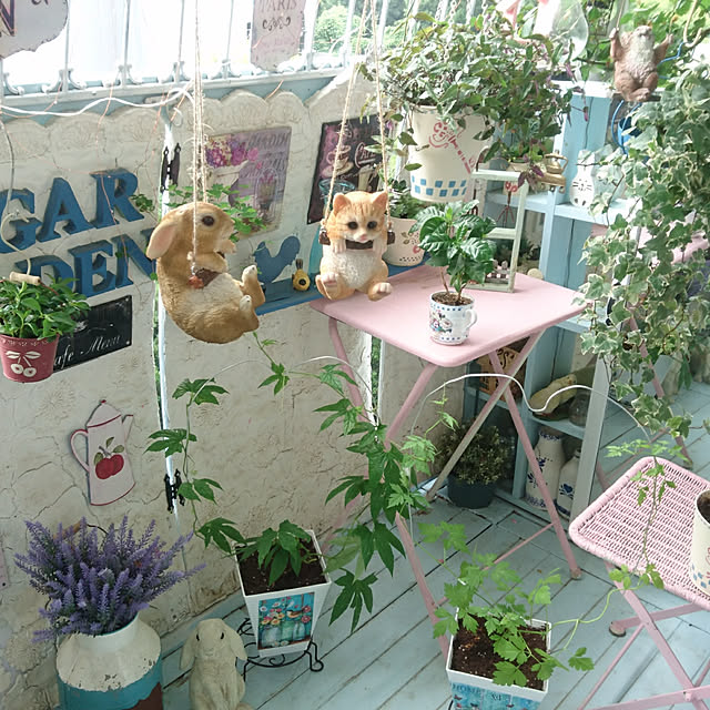 ruruさんの実例写真