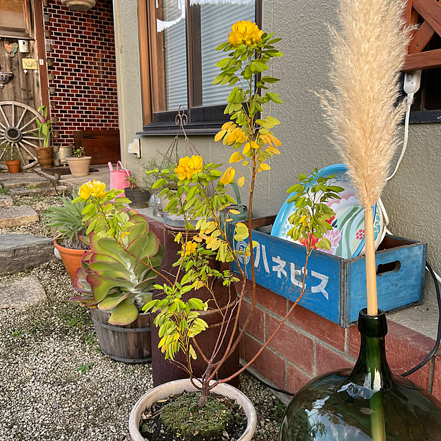 shin0719さんの実例写真