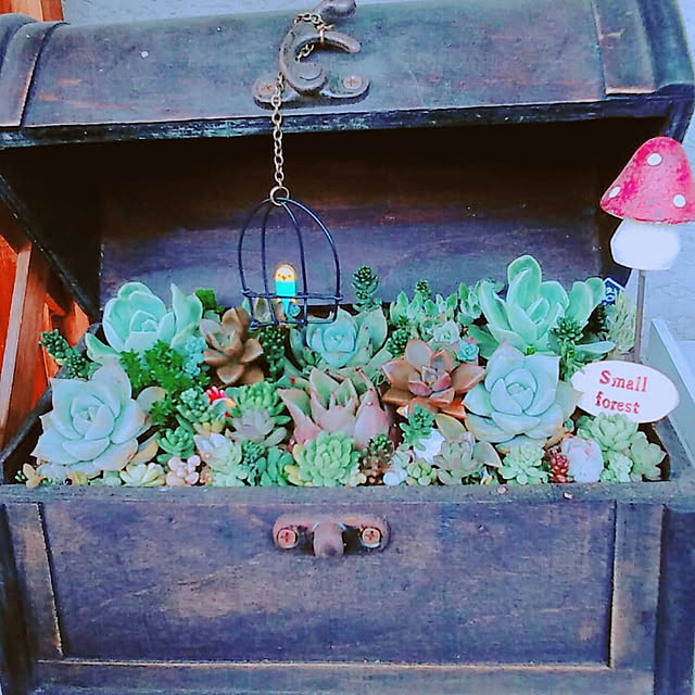 hana4504さんの実例写真