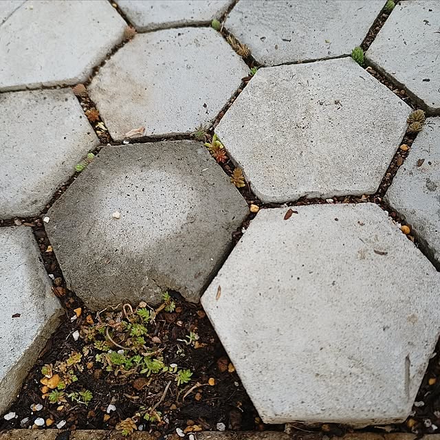 soyokoさんの部屋