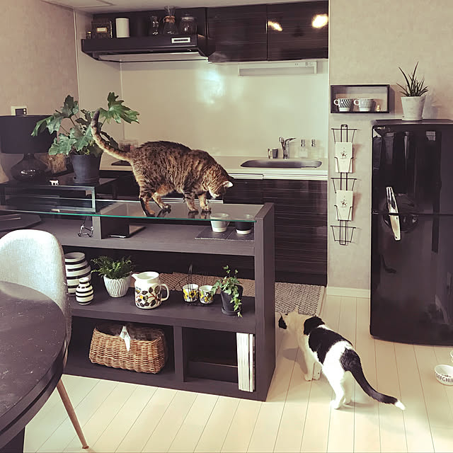 tititomyuさんの実例写真